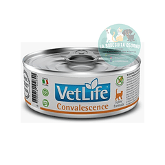 Lata VetLife Cat Convalesence 80 grs