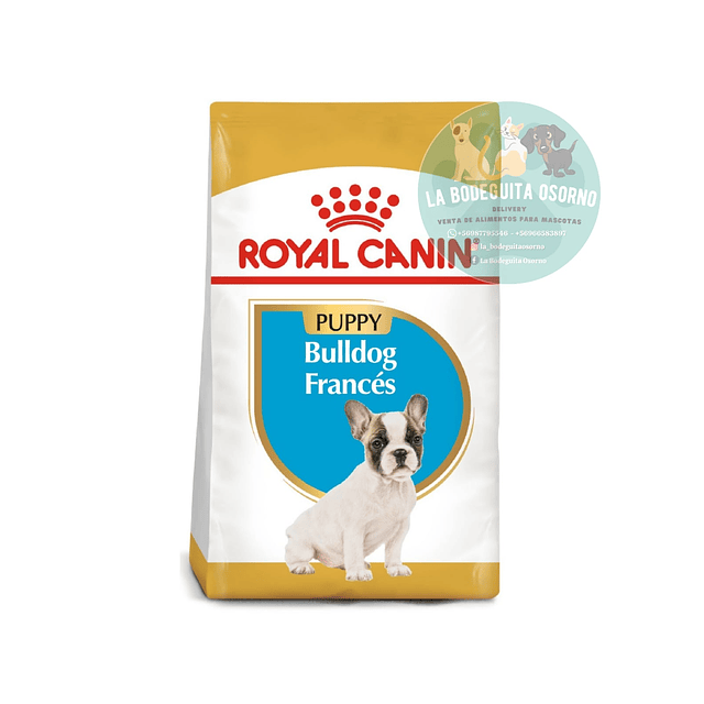 Royal Canin Adulto Cachorro Bulldog Francés 3 kg