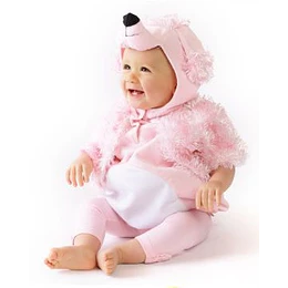 Perrito Poodle