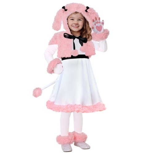Perrita Poodle
