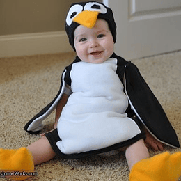 ARRIENDO Pinguino 