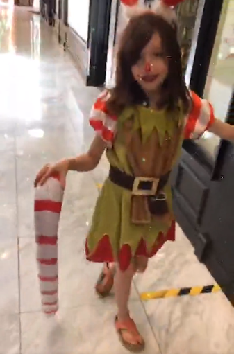 Arriendo Duende de Navidad