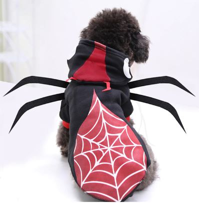 Araña