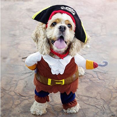 Pirata