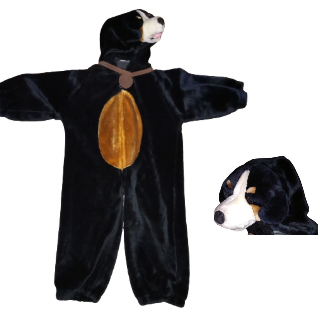 ARRIENDO Perro