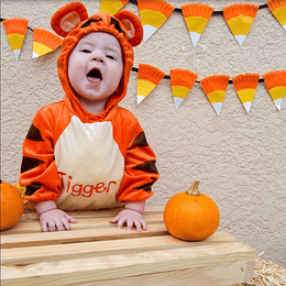 Tigre - Tiger / Winnie the Pooh