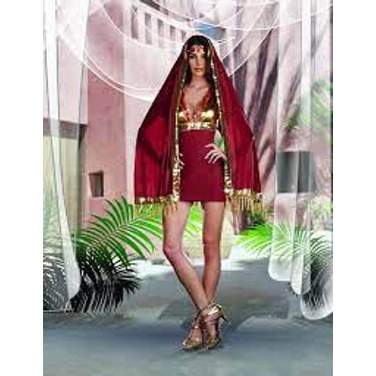 Zzcostumes Bollywood Damen Kostüm – Inkl. Stopper, Rock Und Sari – Für Karneval, Party, Verkleidung