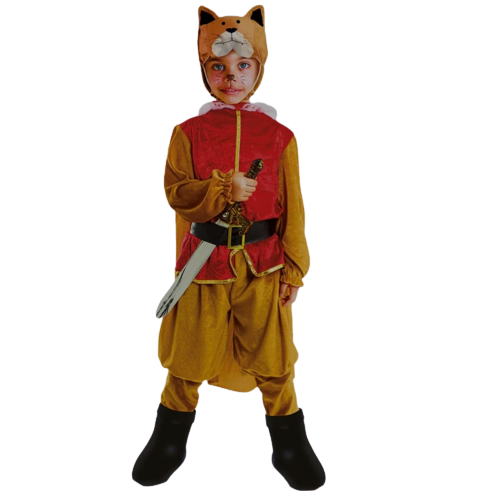 Arriendo Gato con Botas