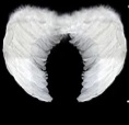 Alas Angel Pluma Arcoiris 60X45Cm