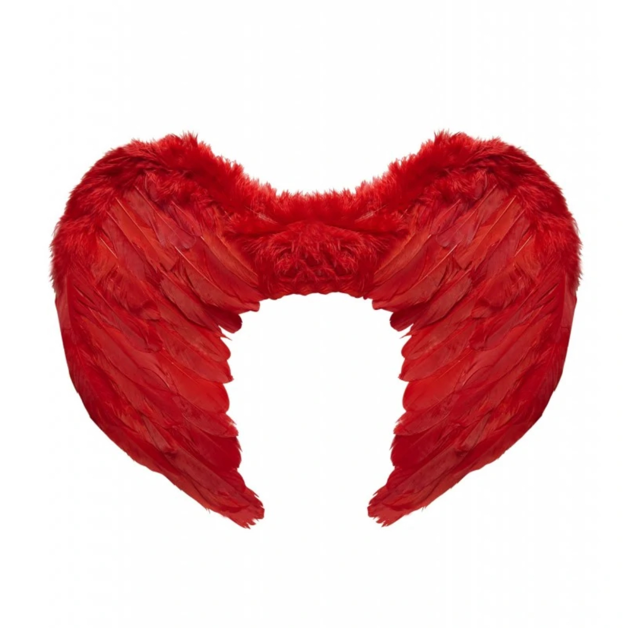 Alas de pluma Rojas