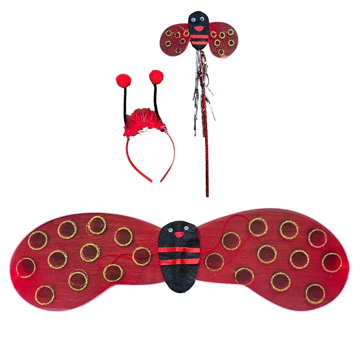 Set Chinita / Mariquita niña