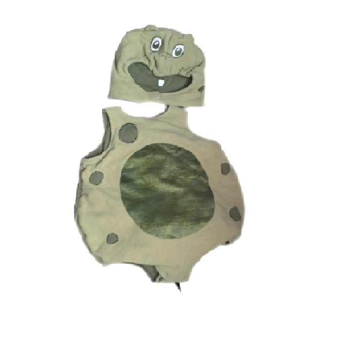 ARRIENDO Tortuga