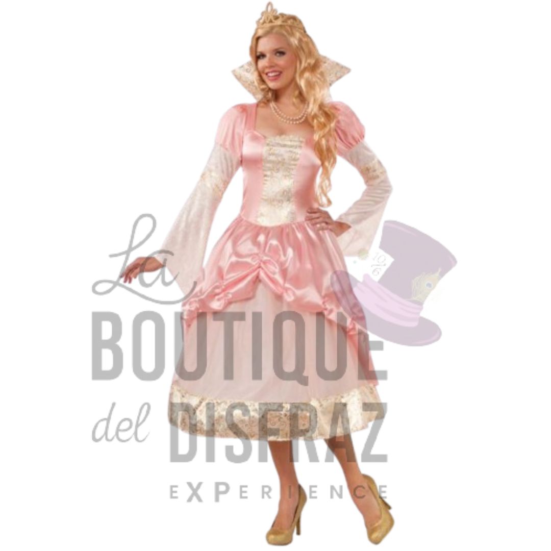 ARRIENDO Aurora / Bella Durmiente