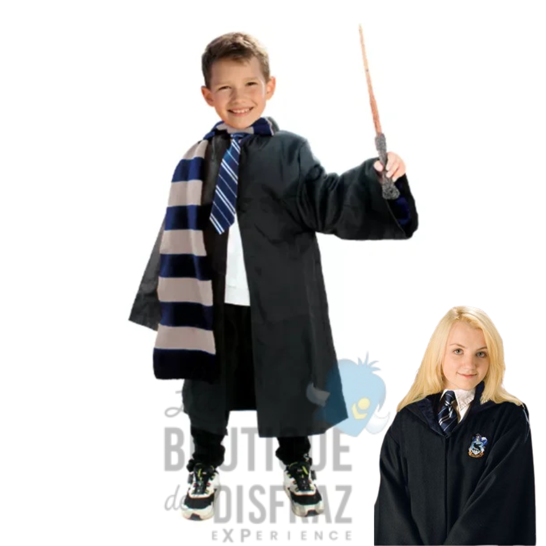 Mago Ravenclaw - Harry Potter