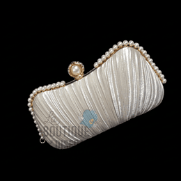 ARRIENDO Cartera de sobre / clutch