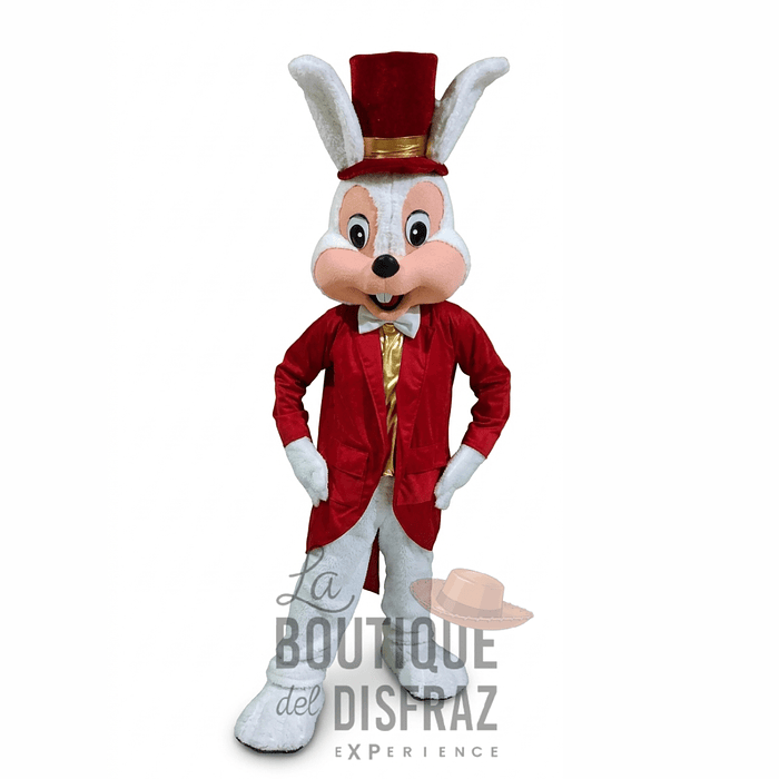 ARRIENDO Corpóreo Conejo 3