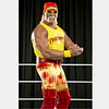 Kit de Caracterización: Peluca Rubia y Bigote Estilo Hulk Hogan / Luchador WWE 2