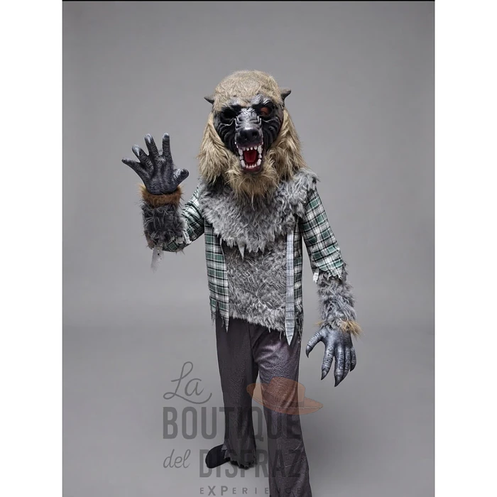 ARRIENDO Niño Lobo