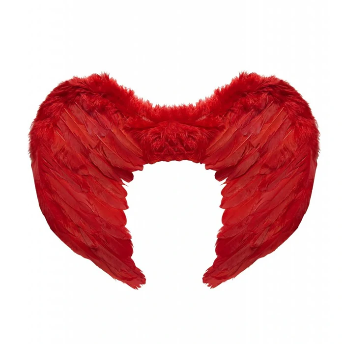 Alas de pluma Rojas 80x60cm