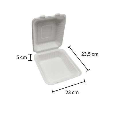 Envase Cuadrado Bagasse 23,5x23x5cm Blanco - Distintos Packs 