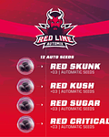 Red Line Auto Mix (12u)