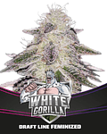 Mix Gorilla Familia Fem (12u)