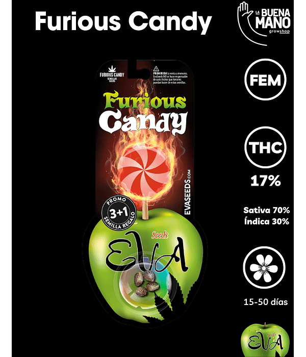 Furious Candy Fem (3+1 u)