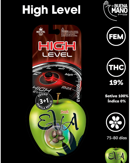 High Level Fem (3+1 u)
