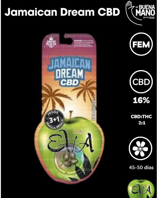 Jamaican Dream CBD Fem (3+1 u)
