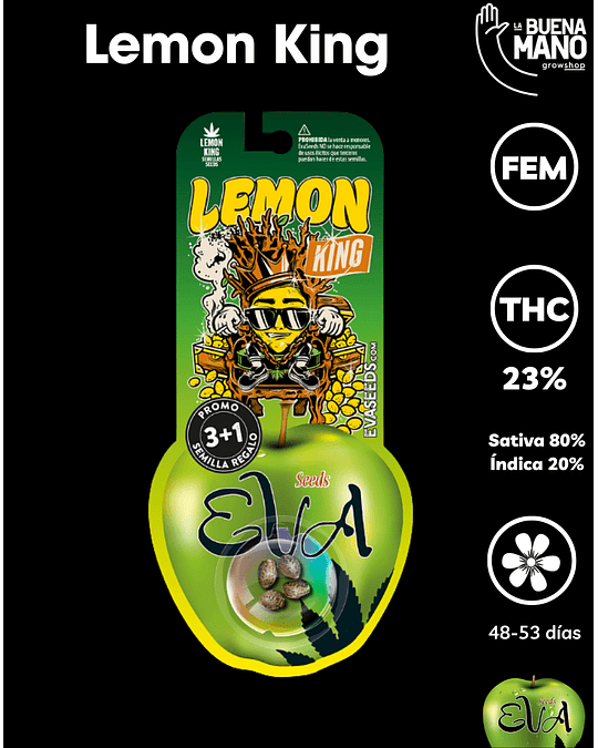 Lemon King Fem (3+1 u)