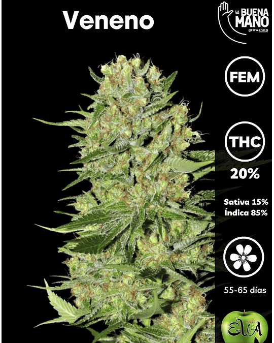 Veneno Fem (3+1u)