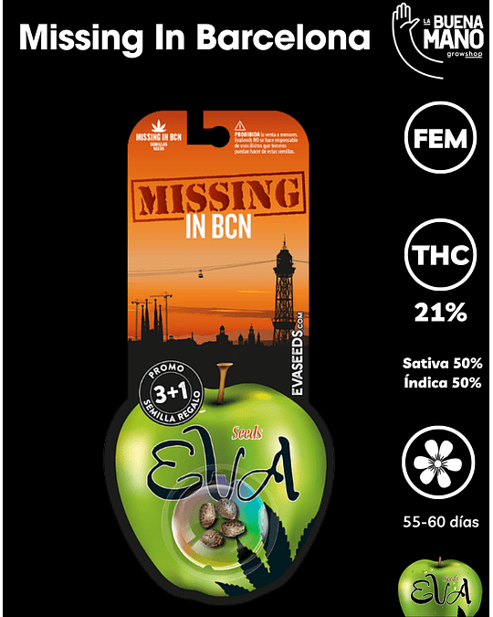 Missing in Bacerlona Fem (3+1 u) 