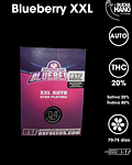 Blueberry XXL Auto (4u)