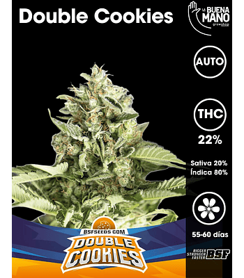 Double Cookies Auto (4u)