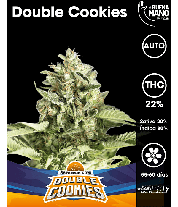 Double Cookies Auto (4u)