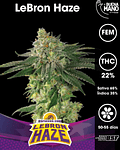 LeBron Haze Fem (4u)