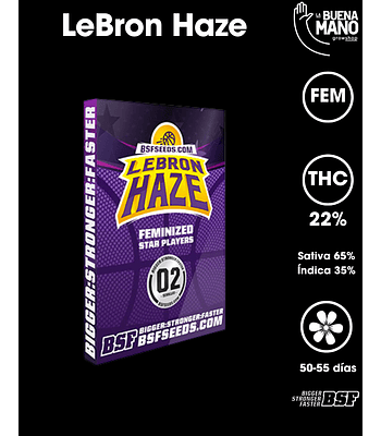 LeBron Haze Fem (4u)