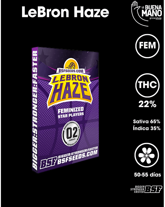 LeBron Haze Fem (4u)