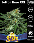 Lebron Haze XXL Auto (4u)