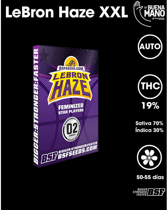 Lebron Haze XXL Auto (4u)