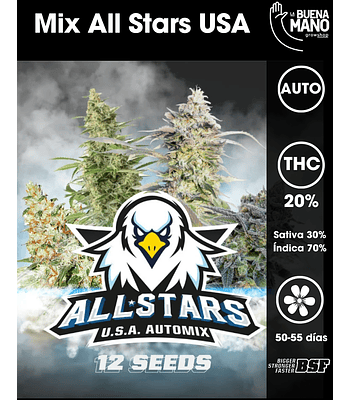 All Stars USA AutoMix (12u)