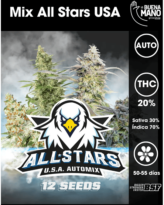 All Stars USA AutoMix (12u)