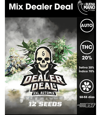 Dealer Deal Auto Mix XXL (12 u)