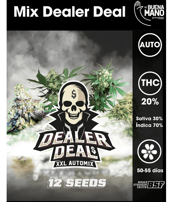 Dealer Deal Auto Mix XXL (12 u)