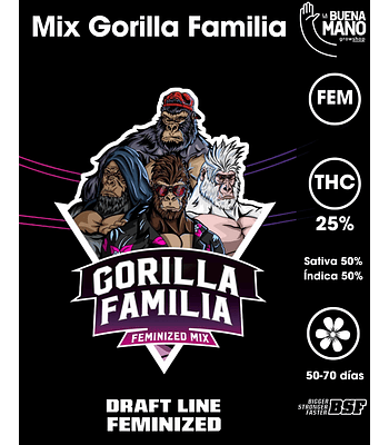 Mix Gorilla Familia Fem (12u)