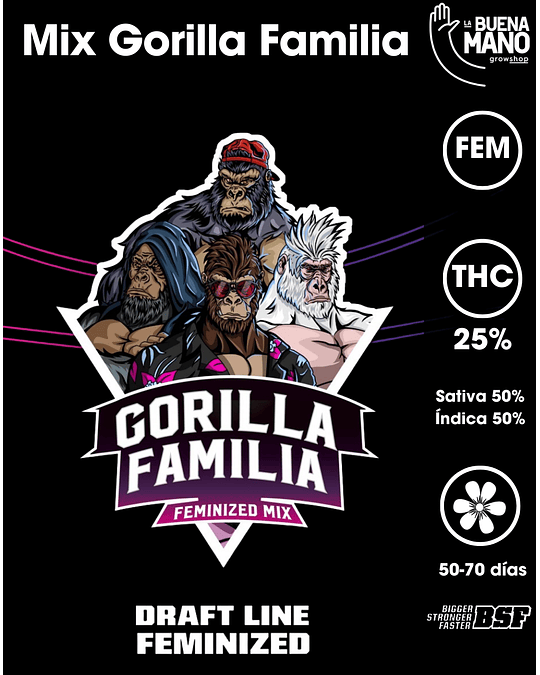 Mix Gorilla Familia Fem (12u)
