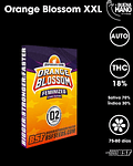 Orange Blossom XXL Auto (4u)