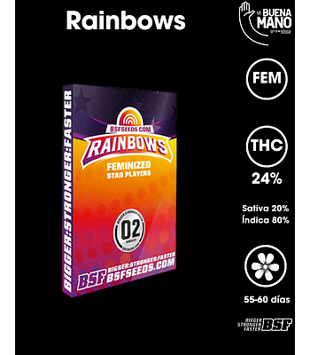 Rainbows Fem (4u)
