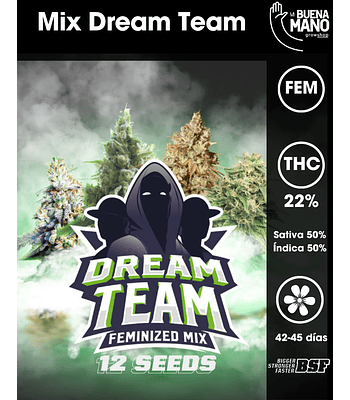 Dream Team Fem Mix (12u)
