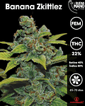 Banana Zkittlez Fem (3u)